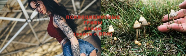скорость Вязники